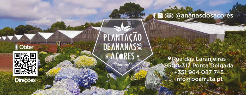 Plantação de Ananás dos Açores by Boa Fruta